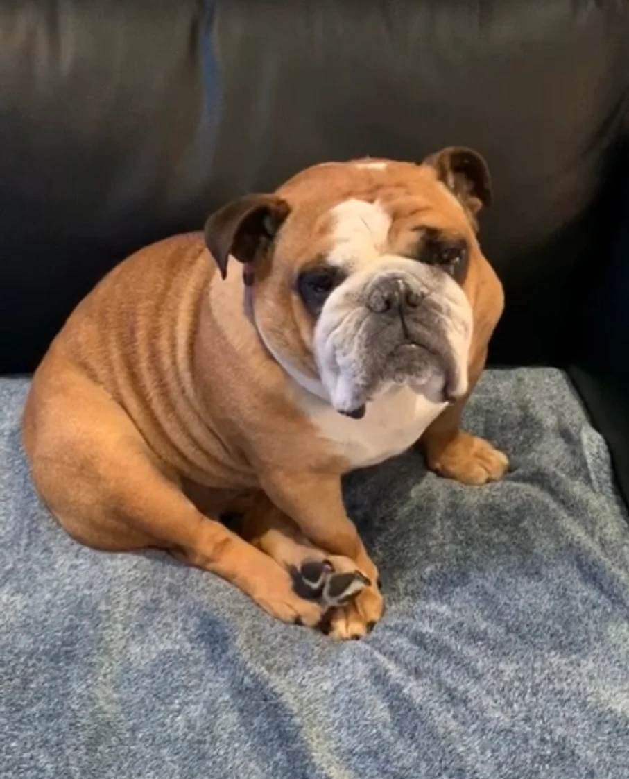 Review image 1 from sandra Cassin